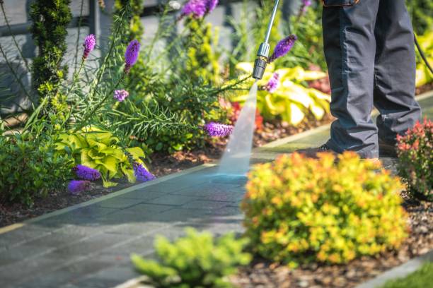 Best Parking Lot and Garage Cleaning  in Winthrop, MN